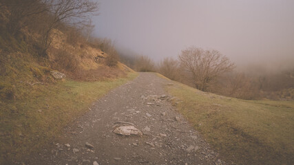 The Valley Val d’Astau, southwest of Bagneres de Luchon in the French Pyrenees. The trail to Lake d'Oô, Haute-Garonne, France. The dominant tree species are deciduous trees (Elm, Ash, Maple).