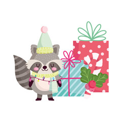 merry christmas, cute raccoon with gifts and candy cane icon isolation