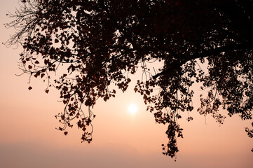 atardecer naranja paisaje natural