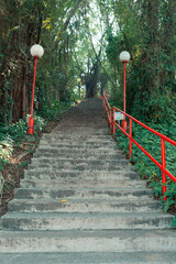 Hiking Trail In city Park. Plants, forest.