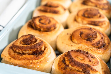 Cinnamon rolls