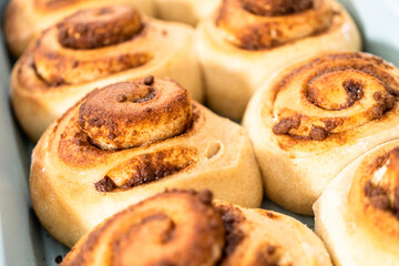 Cinnamon rolls