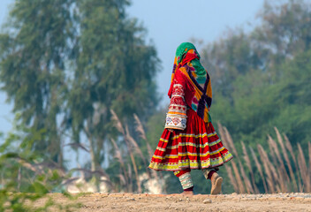 Shepherding is among the oldest occupations and shepherds from Baluchistan are most famous...