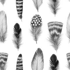 feathers sketch graphics interesting beautiful feather pencil drawing print illustration pattern 1