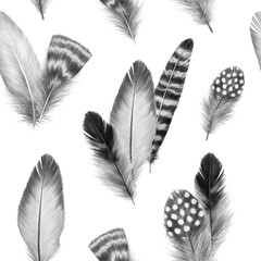 feathers sketch graphics interesting beautiful feather pencil drawing print illustration pattern with a group of feathers 1