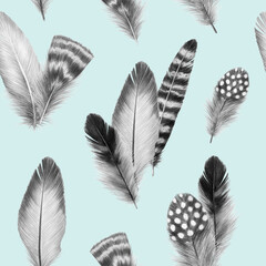 feathers sketch graphics interesting beautiful feather pencil drawing print illustration pattern with a group of feathers 3
