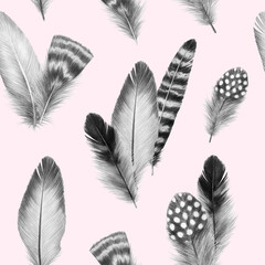 feathers sketch graphics interesting beautiful feather pencil drawing print illustration pattern with a group of feathers 4