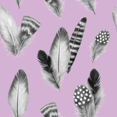 feathers sketch graphics interesting beautiful feather pencil drawing print illustration pattern with a group of feathers 7