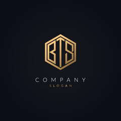 Minimal Letter BTS Logo Concept Icon Template Gold Color Vector.