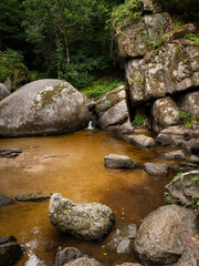 Naklejka na ściany i meble Small pond in the forest of Huelgoat