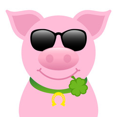 Einzelnes Schwein Mit Sonnenbrille Kleeblatt Im Mund