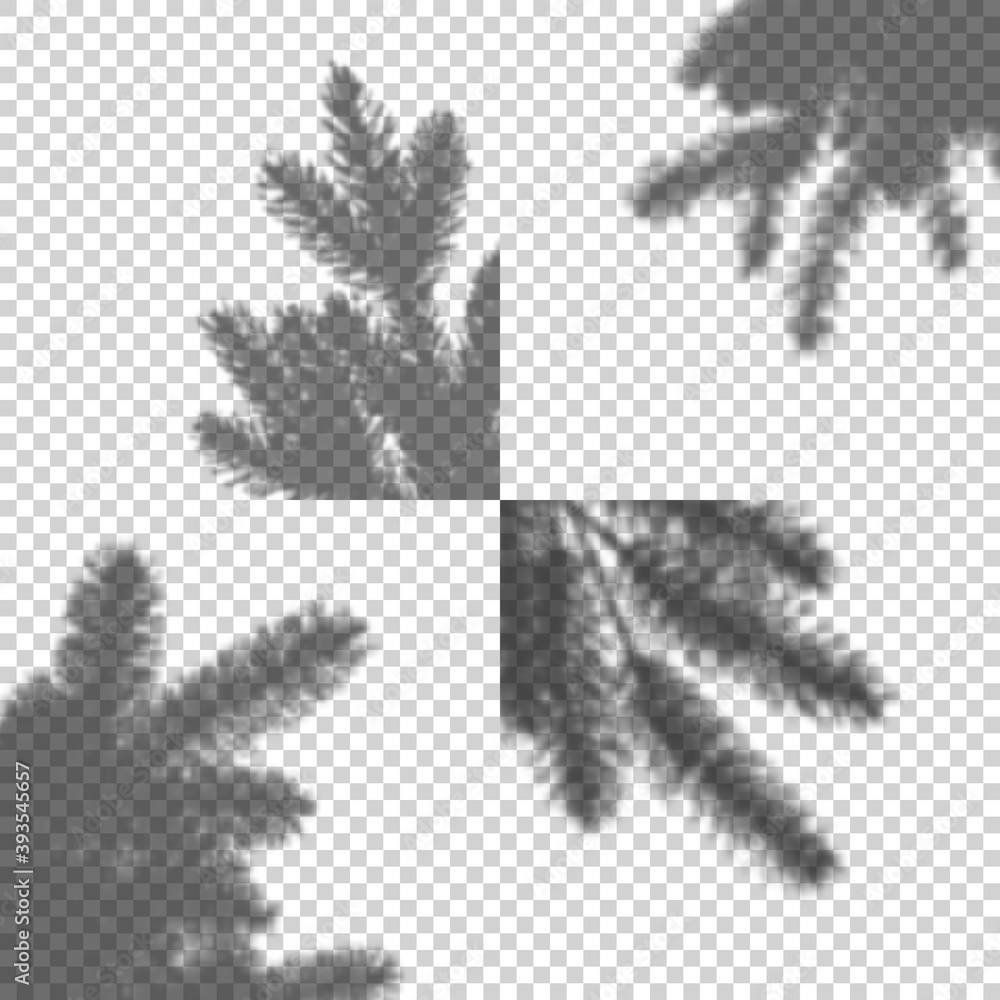 Poster transparent vector set of shadow of christmas tree. design element for collage and mock up. decorati