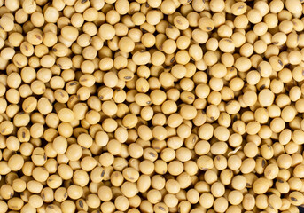 Soybean organic isolated on  background.