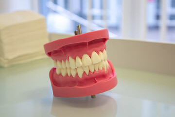 Prosthesis acrylic prosthesis of the upper and lower jaws on a white table in a dental clinic. Dentist Concept. Front view