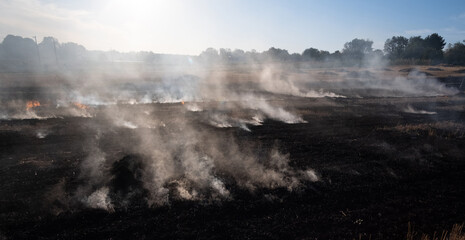 Fire, People burning old grass in the field