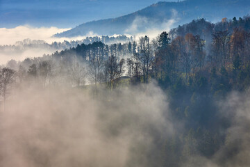 Herbstliche Stimmung - Wald und Berge im Nebel