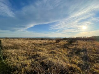 Obraz premium field and sky 