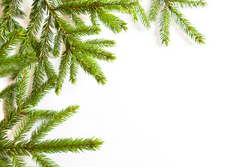 Obraz premium Natural frame of fresh green spruce branches on a white background. Christmas, new year, Christmas tree. Copy space