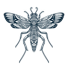 dragonfly beetle doodle vector illustration