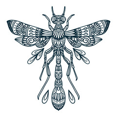 vector line art illustration of dragonfly beetle