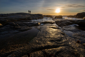 Obraz premium Follow the Sun