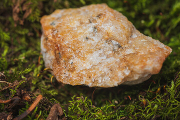 Still life- stones in green moss for interior decoration