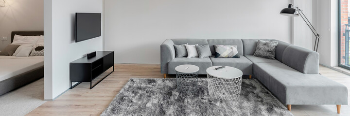 Stylish living room next to bedroom, panorama