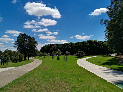Beautiful view of a park with with twin paved trail for walking and cycling, green grass, tall trees and blue sky, Reid Park, Parramatta Cycleway, Rydalmere, Sydney, New South Wales, Australia
