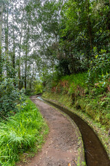 Levada auf Madeira.