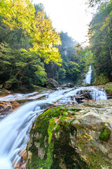 笹の滝　奈良県十津川村　Sasa waterfall Nara-ken Totsukawa village