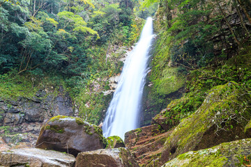 笹の滝　奈良県十津川村　Sasa waterfall Nara-ken Totsukawa village