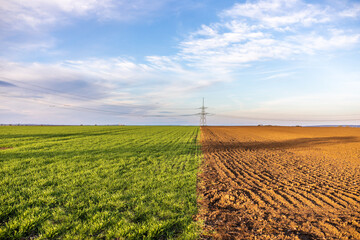 Grünes und Braunes Feld nebeneinander mit Strommast im Hintergrund