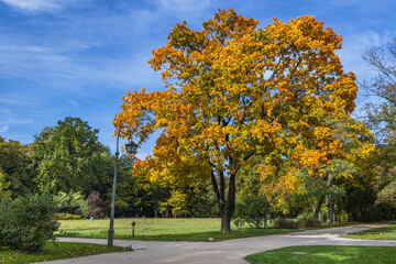 Autumn in Lazienki - Royal Baths Park in Warsaw, capital city of Poland
