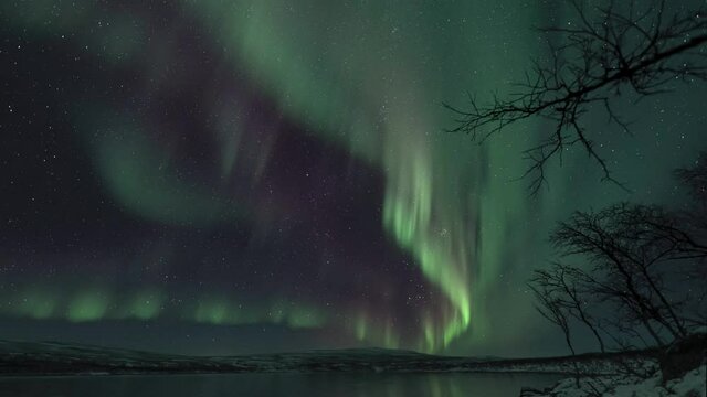 Auroras above a lake in Lapland, snow in the ground, tilt down