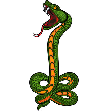 Viper snake. Colorful Tattoo design