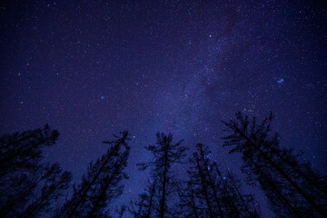 長野県阿智村　日本一の星空