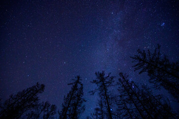 Fototapeta premium 長野県阿智村 日本一の星空