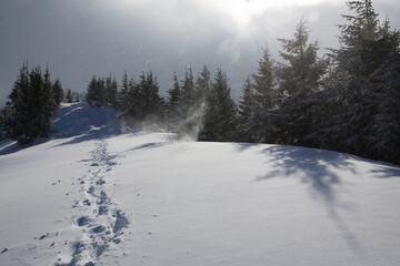 Snowy slopes in the mountains.