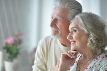 Portrait of cheerful senior couple at home