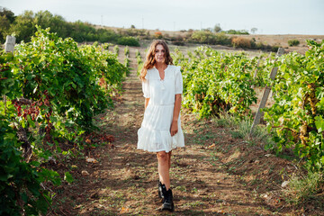 Beautiful fashionable woman in a dress in a field of vineyards collects grapes