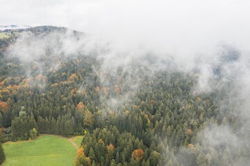 Bild einer Luftaufnahme von tief hängenden Wolken über den Bäumen eines Waldes im bayerischen Wald, Deutschland