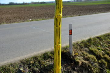 trees in the alley by the road. trees in a row are planted in a hole. the worker hand-gloved,...
