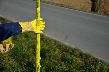 trees in the alley by the road. trees in a row are planted in a hole. the worker hand-gloved,...
