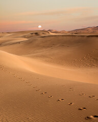 Fototapeta na wymiar Landscape of sunset Merzouga sahara desert