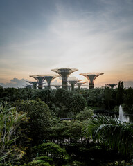 SINGAPORE, SINGAPORE - Nov 15, 2020: Sunrise at Gardens by the Bay