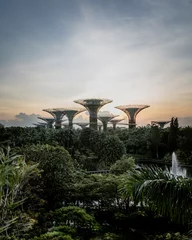 Fotobehang SINGAPORE, SINGAPORE - Nov 15, 2020: Sunrise at Gardens by the Bay © Isaac Matthew/Wirestock