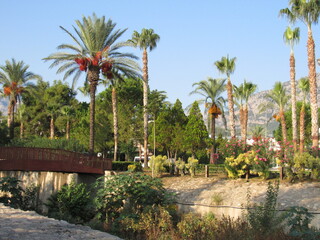 Mediterranean recreation resort park landscape