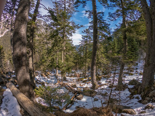 The Gaube Valley frozen path surrounded by rocky slope, spruce and pine trees, near the town of Cauterets in the Haute-Pyrénées department, France.