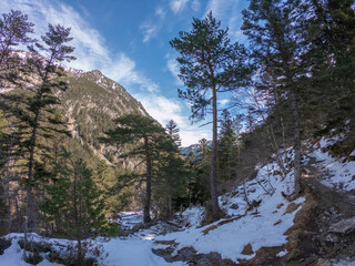 The Gaube Valley frozen path surrounded by rocky slope, spruce and pine trees, near the town of Cauterets in the Haute-Pyr&eacute;n&eacute;es department, France.