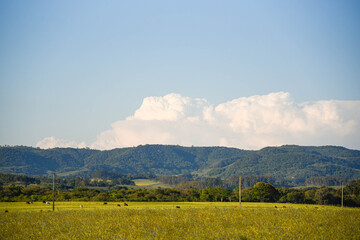 Farm animals and rural landscape and cumulunimbus clouds background